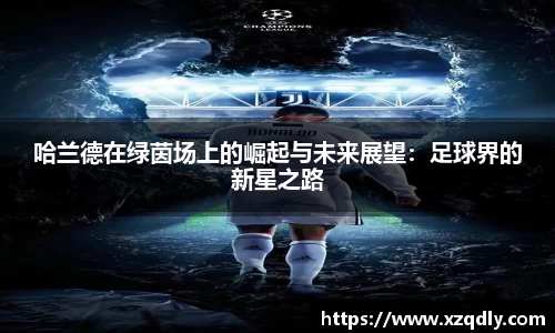 乐鱼体育官网